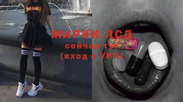 стаф Россошь