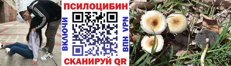 Купить закладки  Троицк  Псилоцибиновые грибы Magic Shrooms 